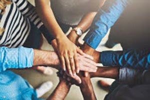 Custom OEM Solutions